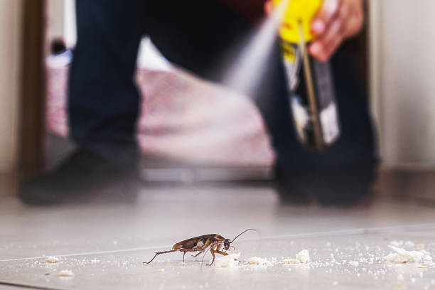 Pest Prevention Services in Craig Beach, OH